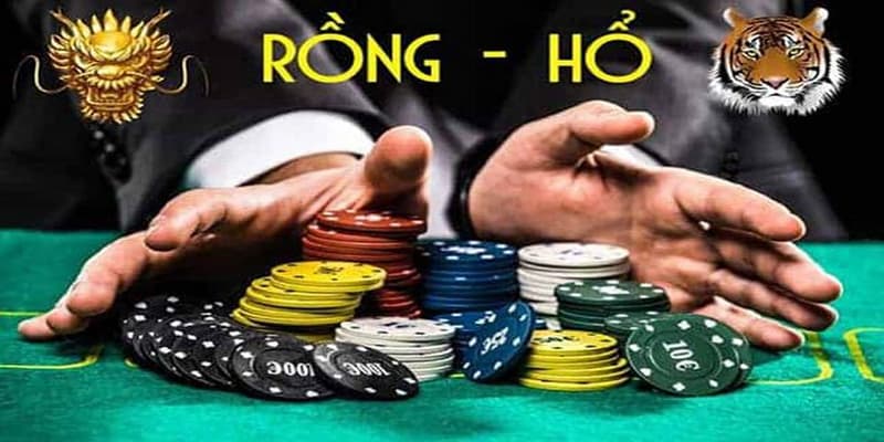 Rồng hổ với các ưu điểm nổi bật